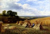 George Cole, Snr - Harvest Field